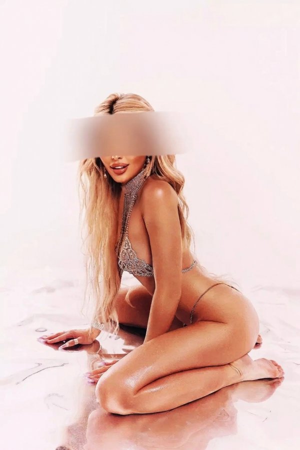 thumb_1261482_1920_1920_0_0_fit (1).jpg