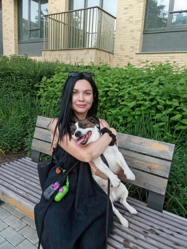 thumb_1317640_1920_1920_0_0_fit (1).jpg