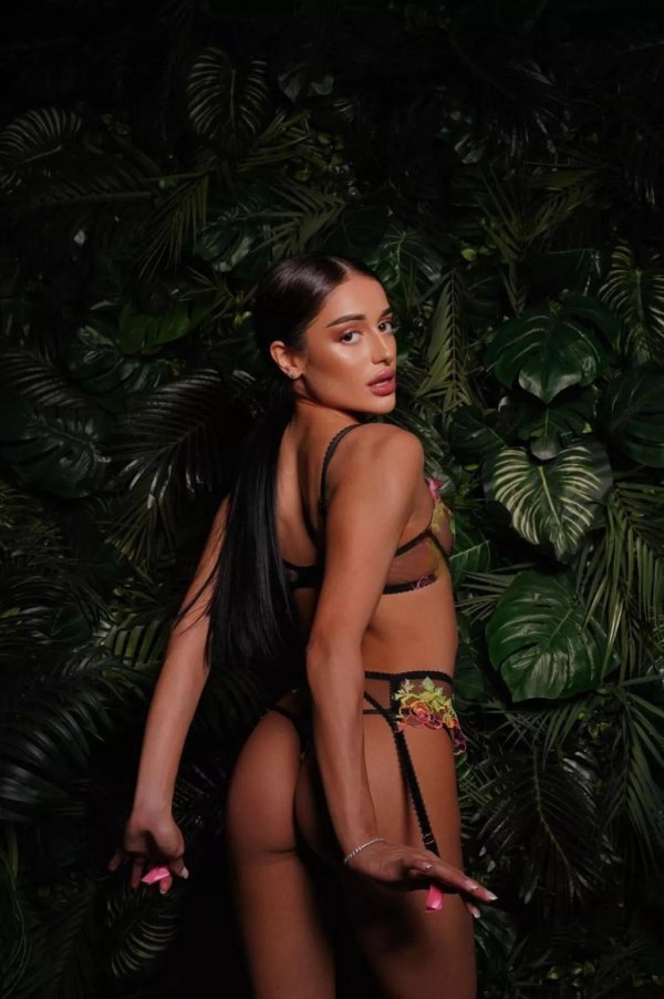 thumb_1604791_1920_1920_0_0_fit (1).jpg