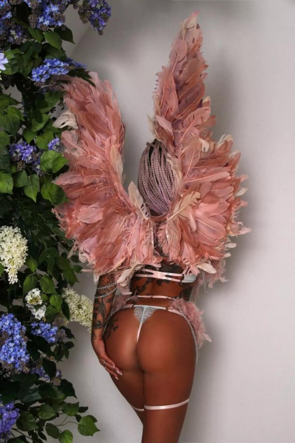 thumb_1593133_1920_1920_0_0_fit (1).jpg